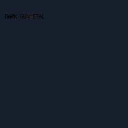 161f2b - Dark Gunmetal color image preview