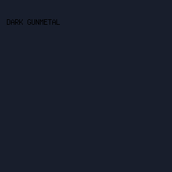 181e2c - Dark Gunmetal color image preview