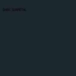 1C262D - Dark Gunmetal color image preview