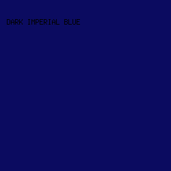 0B0B60 - Dark Imperial Blue color image preview
