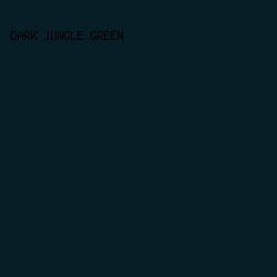 071D25 - Dark Jungle Green color image preview