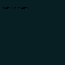 071E22 - Dark Jungle Green color image preview