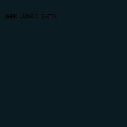 0A1C21 - Dark Jungle Green color image preview