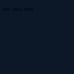 0C1828 - Dark Jungle Green color image preview