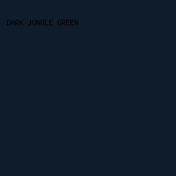 0F1D2A - Dark Jungle Green color image preview