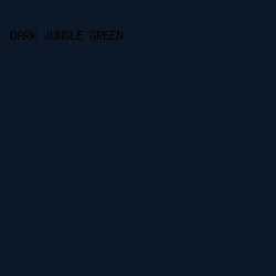 0a1828 - Dark Jungle Green color image preview