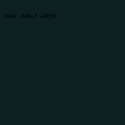 0d2220 - Dark Jungle Green color image preview