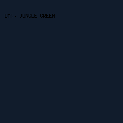 111C2C - Dark Jungle Green color image preview