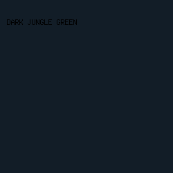 121D27 - Dark Jungle Green color image preview
