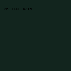 12251E - Dark Jungle Green color image preview
