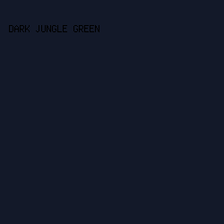131929 - Dark Jungle Green color image preview