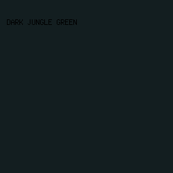 131E20 - Dark Jungle Green color image preview
