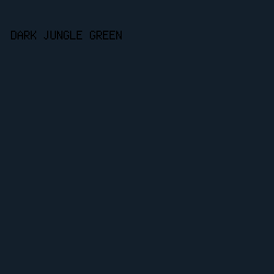 131f2b - Dark Jungle Green color image preview