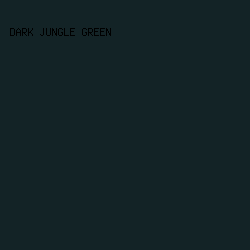 132326 - Dark Jungle Green color image preview
