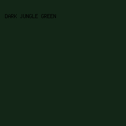 132617 - Dark Jungle Green color image preview