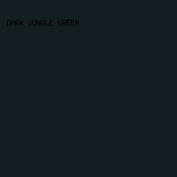 141d22 - Dark Jungle Green color image preview