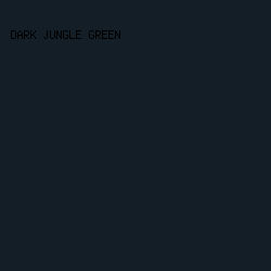 141e27 - Dark Jungle Green color image preview