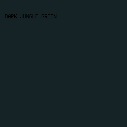 152327 - Dark Jungle Green color image preview
