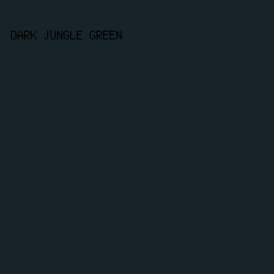 162328 - Dark Jungle Green color image preview