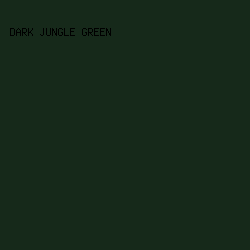 16291a - Dark Jungle Green color image preview