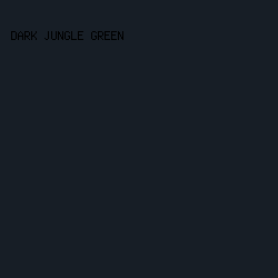 171e26 - Dark Jungle Green color image preview