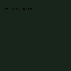 17251b - Dark Jungle Green color image preview