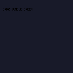 181a29 - Dark Jungle Green color image preview