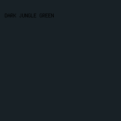 182126 - Dark Jungle Green color image preview