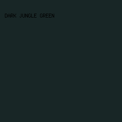 182626 - Dark Jungle Green color image preview