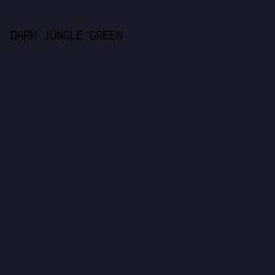 191A27 - Dark Jungle Green color image preview