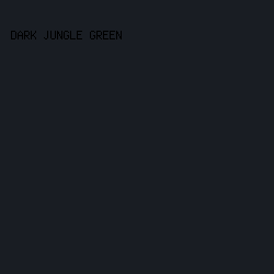 191D23 - Dark Jungle Green color image preview