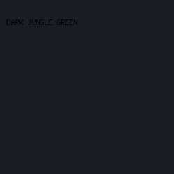 191d26 - Dark Jungle Green color image preview