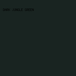 192421 - Dark Jungle Green color image preview