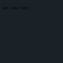 1A2227 - Dark Jungle Green color image preview