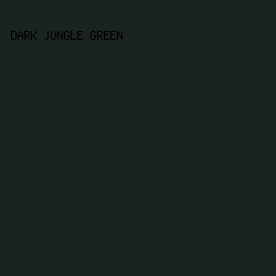 1a2320 - Dark Jungle Green color image preview