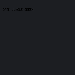 1c1e22 - Dark Jungle Green color image preview