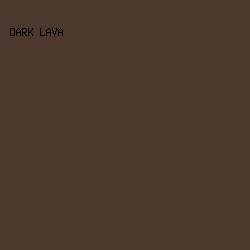 4D382E - Dark Lava color image preview