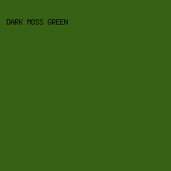 376114 - Dark Moss Green color image preview
