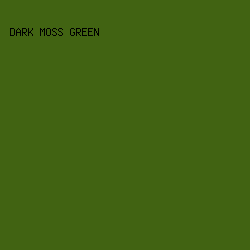 416312 - Dark Moss Green color image preview
