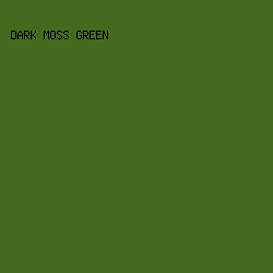 426B20 - Dark Moss Green color image preview