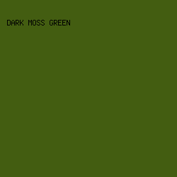 435D11 - Dark Moss Green color image preview