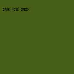 455D16 - Dark Moss Green color image preview