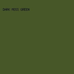 475728 - Dark Moss Green color image preview