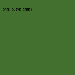 43702F - Dark Olive Green color image preview