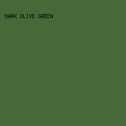 456a38 - Dark Olive Green color image preview