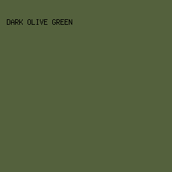 54613d - Dark Olive Green color image preview