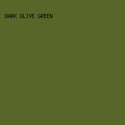 586629 - Dark Olive Green color image preview