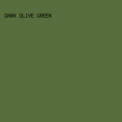 586d3d - Dark Olive Green color image preview
