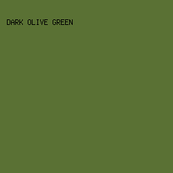 5A7134 - Dark Olive Green color image preview