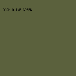 5B613D - Dark Olive Green color image preview
